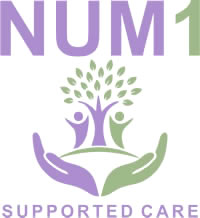 num1 logo small